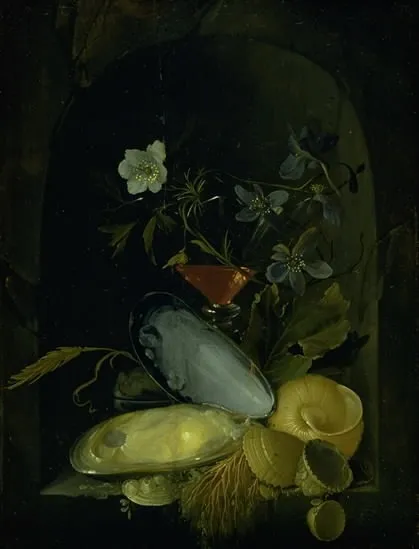 Still Life with Cockleshells and Blue Anemones, by Frans van Mieris the Elder, oil, 1665