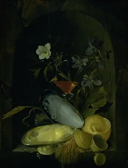 Still Life with Cockleshells and Blue Anemones, by Frans van Mieris the Elder
