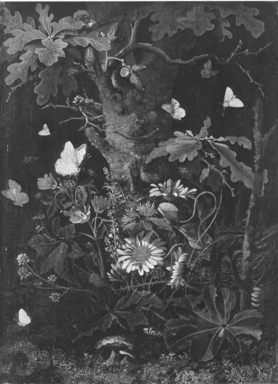 Stillleben, by Franz de Hamilton
