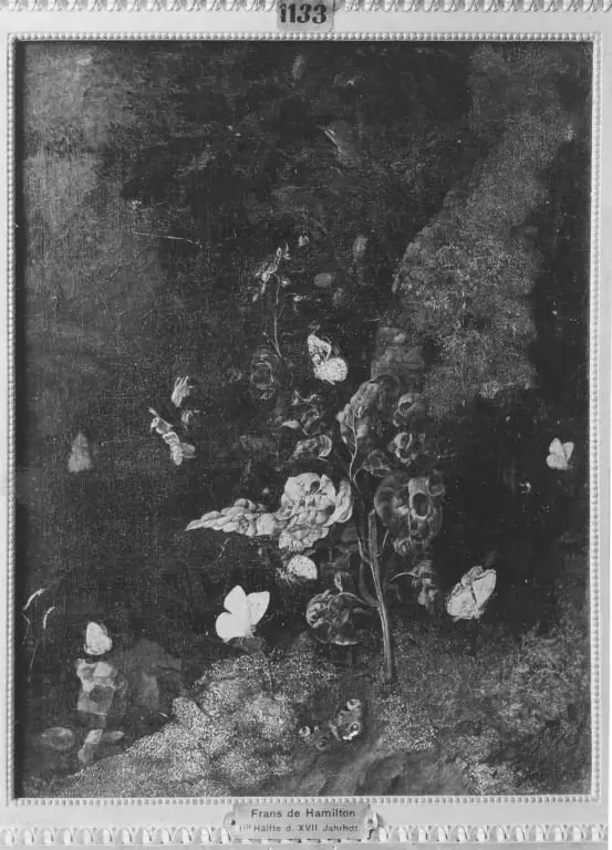 Stillleben: Schmetterlinge und Pflanzen, by Franz de Hamilton