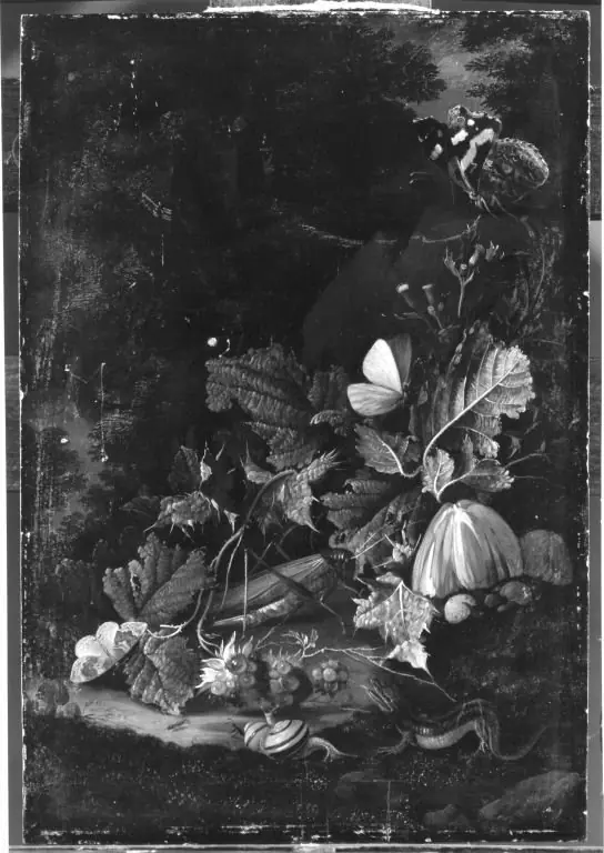 Stillleben: Waldboden mit Heuschrecke, by Franz de Hamilton