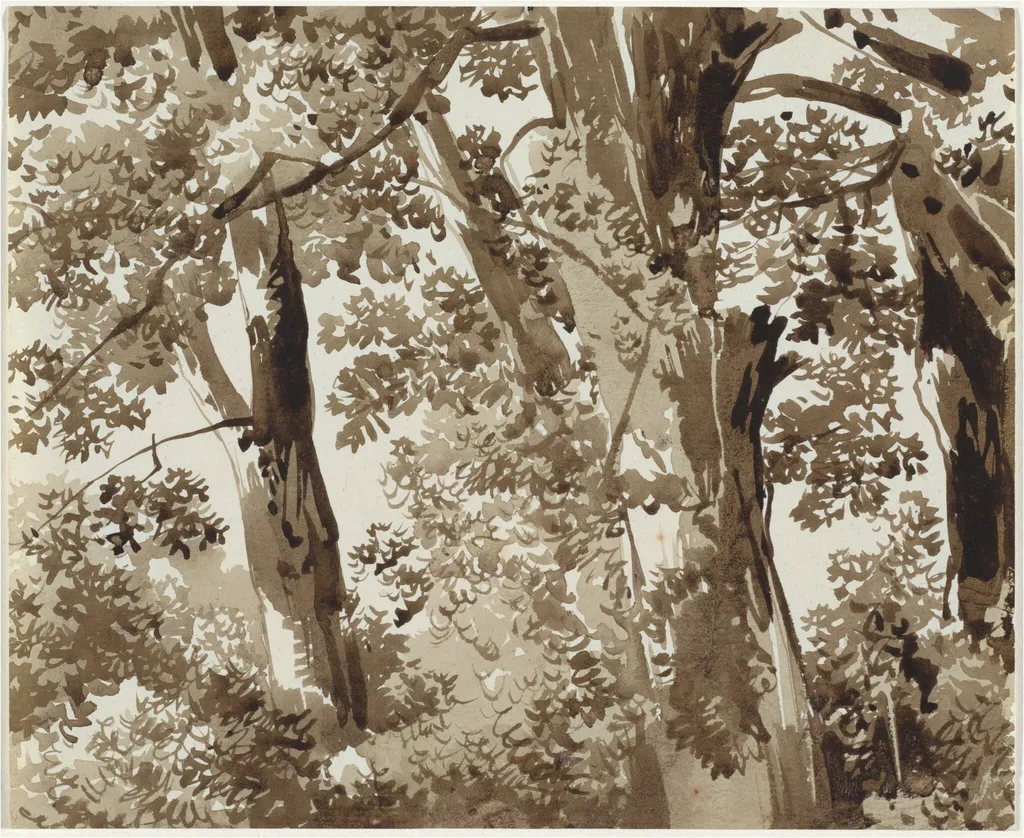 Trees with Dense Undergrowth, by Franz Innocenz Josef Kobell, ink, 1810