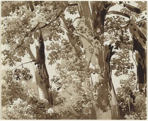 Trees with Dense Undergrowth, by Franz Innocenz Josef Kobell