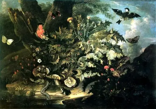 Natură moartă cu năpârcă; pandant: Natură moartă cu broască, by Franz Michael Siegmund von Purgau
