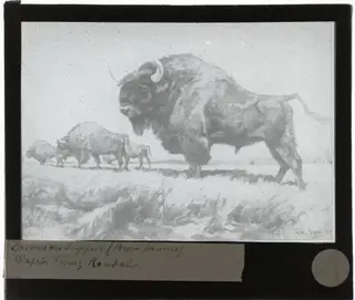 Franz Roubal. Bizons op de steppe, by Franz Roubal, 1938