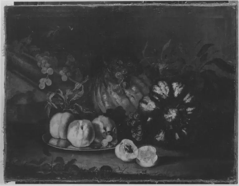 Fruit still-life, by Franz Werner Tamm