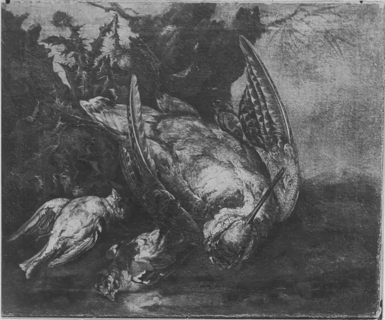 Jagdbeutestillleben mit Schnepfe, by Franz Werner Tamm