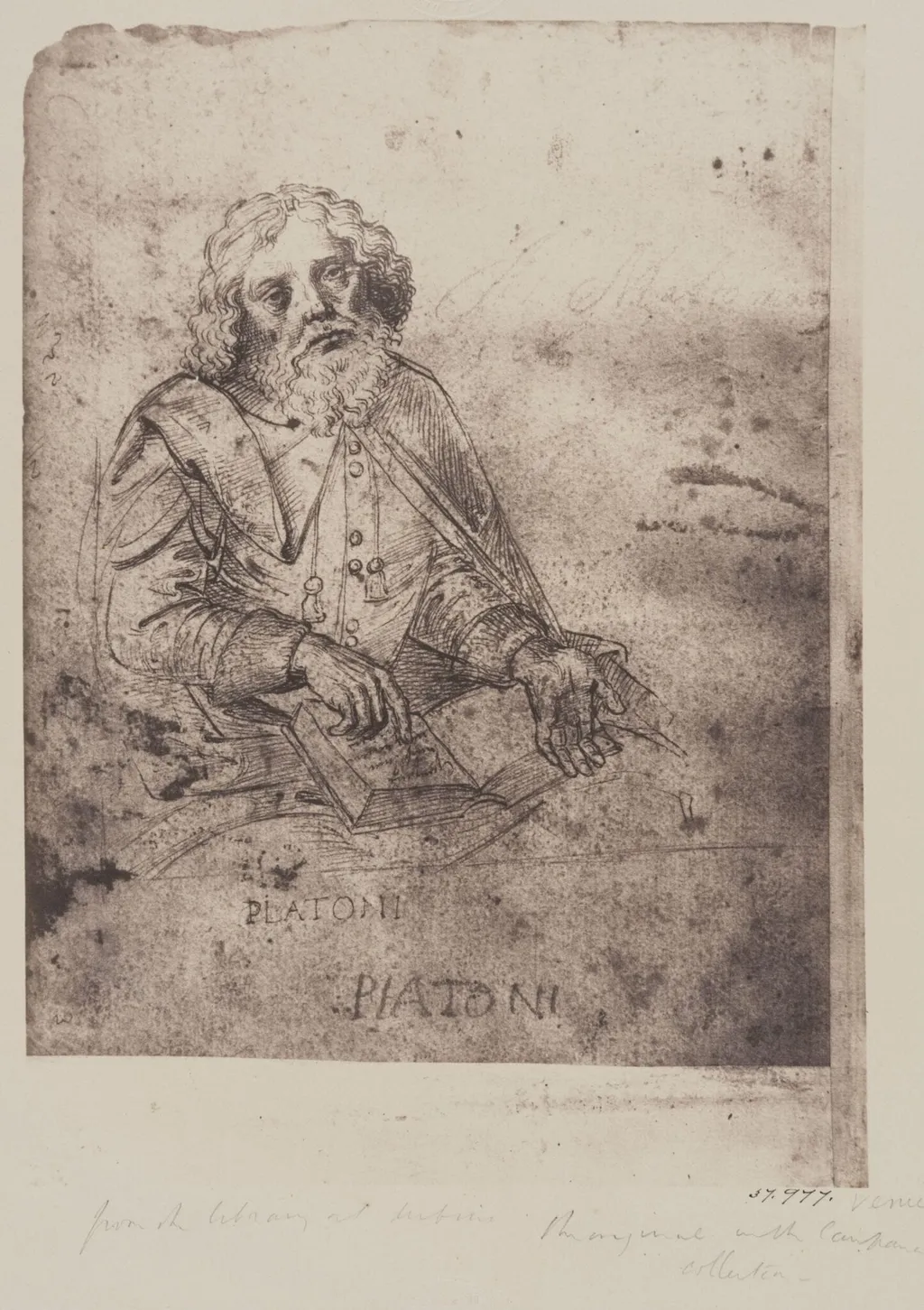 Plato, by Fratelli Alinari, photographic, 1854