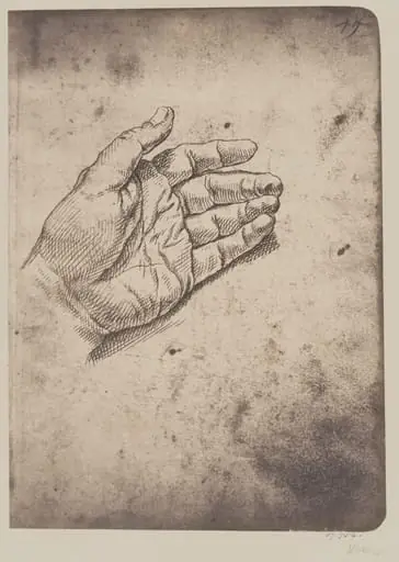 Study of a hand, by Fratelli Alinari