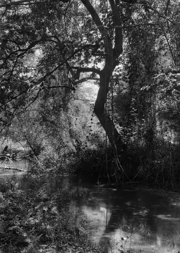 Grèce - Tempé, le Bain du Faune (Ελλάδα - Τέμπη, το Λουτρό του Πάνα), by Fred Boissonnas