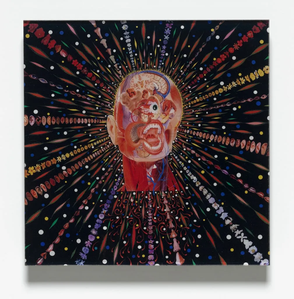 Untitled, by Fred Tomaselli, glass, 2003
