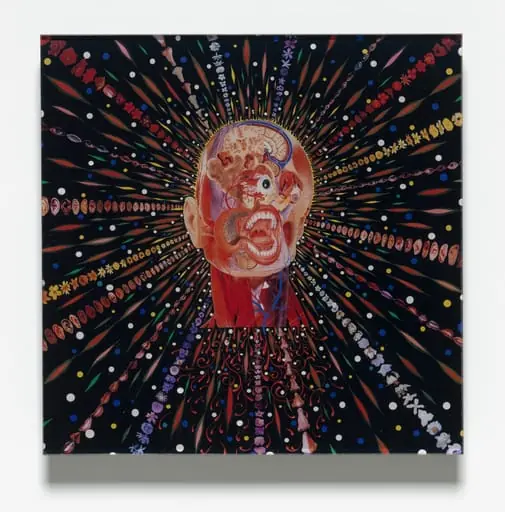 Untitled, by Fred Tomaselli