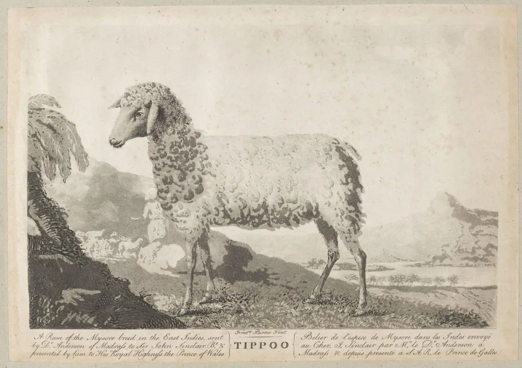 Tippoo, by Frederick Birnie, 1750