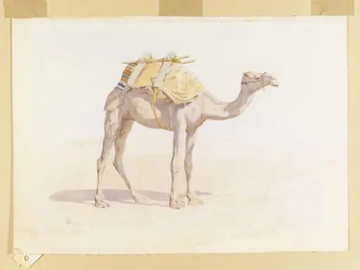 Baggage Camel, by Frederick Goodall