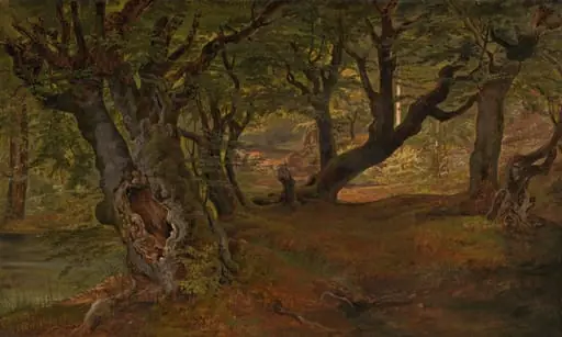 View of Bregentved Forest, Sjaeeland, by Frederik Sødring