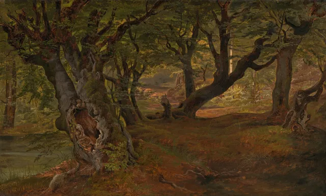 View of Bregentved Forest, Sjaeeland