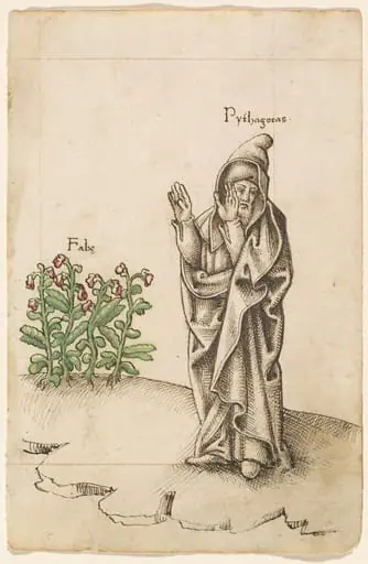 "Do Not Eat Beans" [fol. 25 recto]