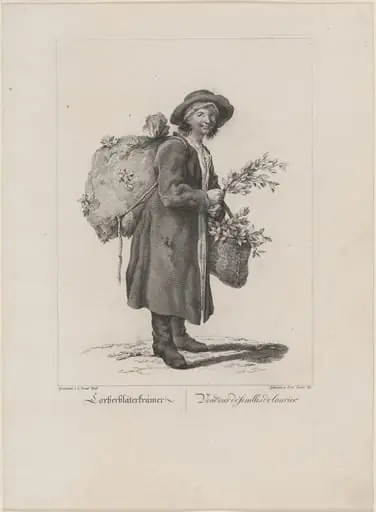 Lorberbläterkrämer (Bay Leaf Seller), by Friedrich August Brand
