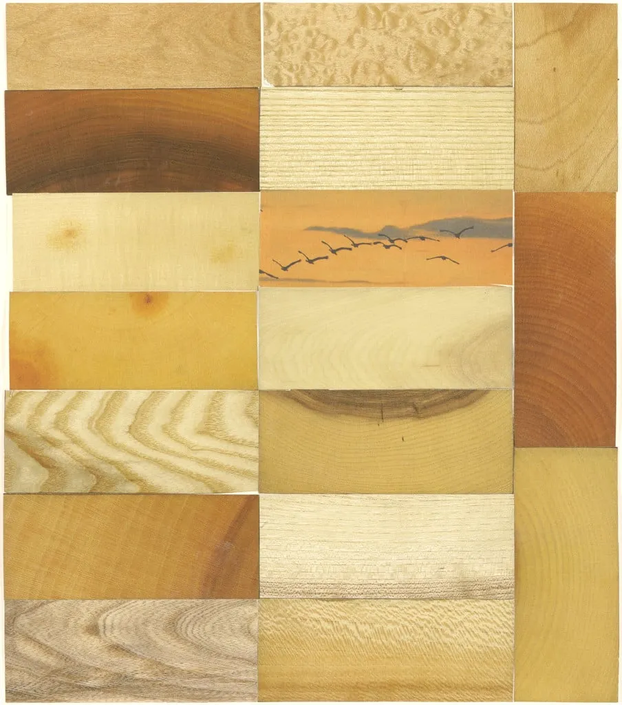 Untitled, by Friedrich Kunath, 2003