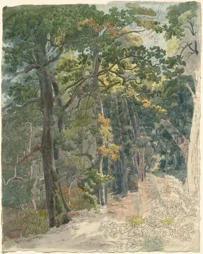 Rays of Sunlight Striking a Woodland Path, by Friedrich Salathé