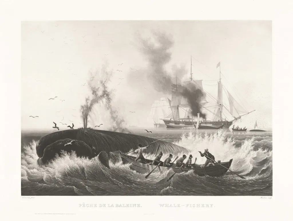 Pêche de la Baleine, Whale-Fishery, by Friedrich von Martens, ink, 1834