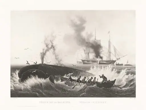 Pêche de la Baleine, Whale-Fishery, by Friedrich von Martens