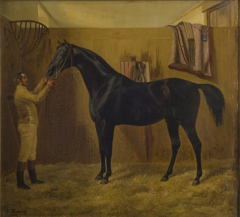 Black Comet, by Fritz Thomsen