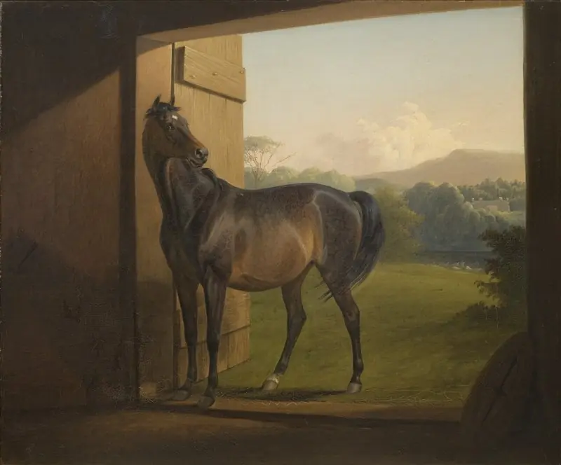 Reveller Mare, by Fritz Thomsen