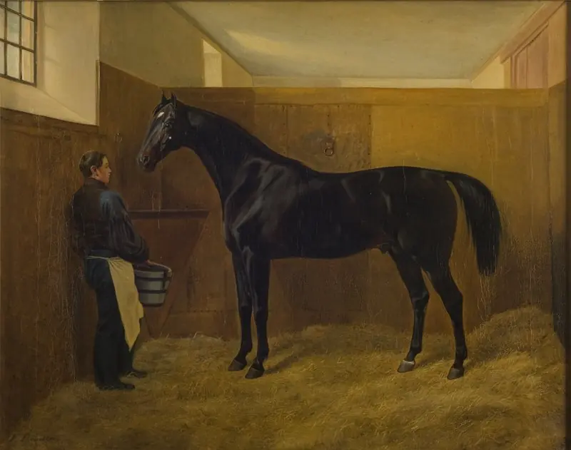 Zampa, by Fritz Thomsen