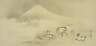 Frolicking Horses under Mt. Fuji