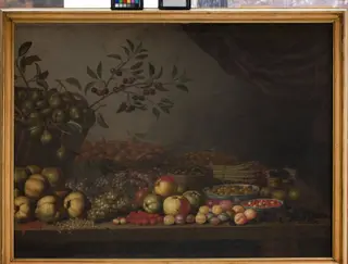 Fruit Basket