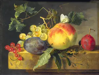 Fruit Still Life, by Jan van Huysum
