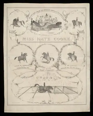 Print Collection