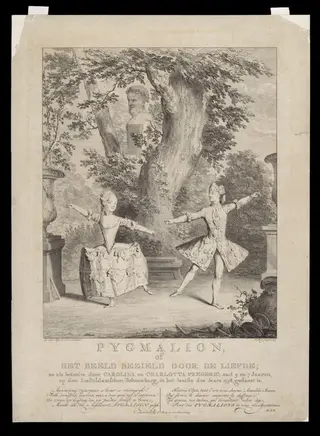 H Beard Print Collection