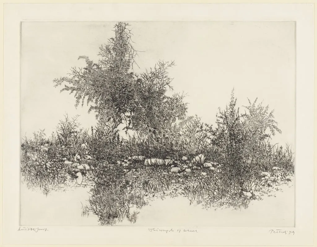Untitled, by Gabor Peterdi, ink, 1959