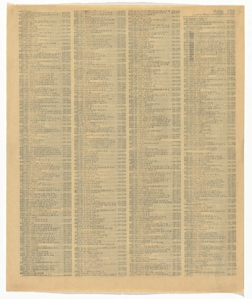 Untitled, by Gabriel Orozco, 1992