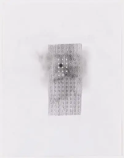 Untitled, by Gabriel Orozco