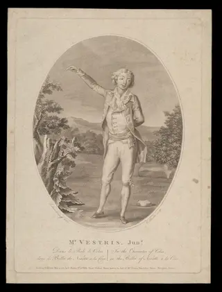 H Beard Print Collection