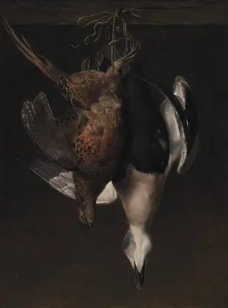Game. A Pheasant and an Eider