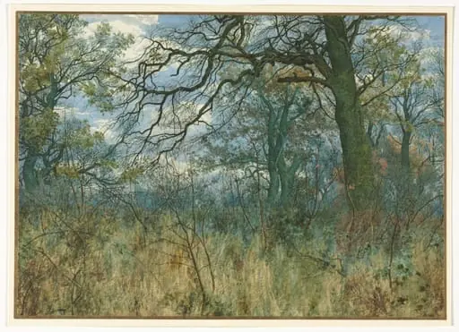 Trees and Undergrowth, by Garden William Fraser