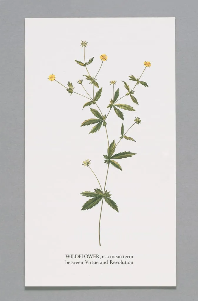 Untitled, by Gary Hincks Ian Hamilton Finlay, ink, 1993