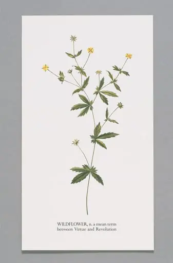 Untitled, by Gary Hincks Ian Hamilton Finlay