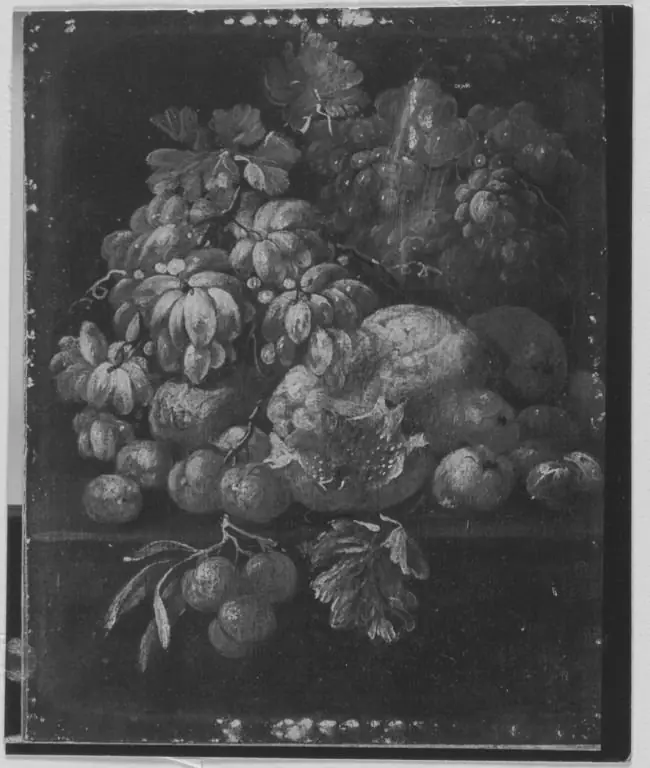 Display of Fruit, by Gaspar Peeter Verbruggen the Younger