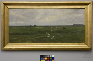 Geese by a Lake. A Storm is Brewing. Dragør, the Island of Amager