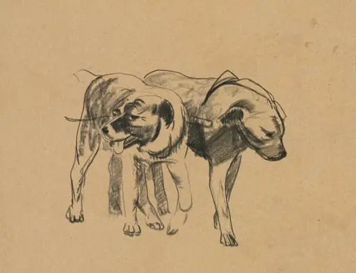 Two Dogs, by George Bellows
