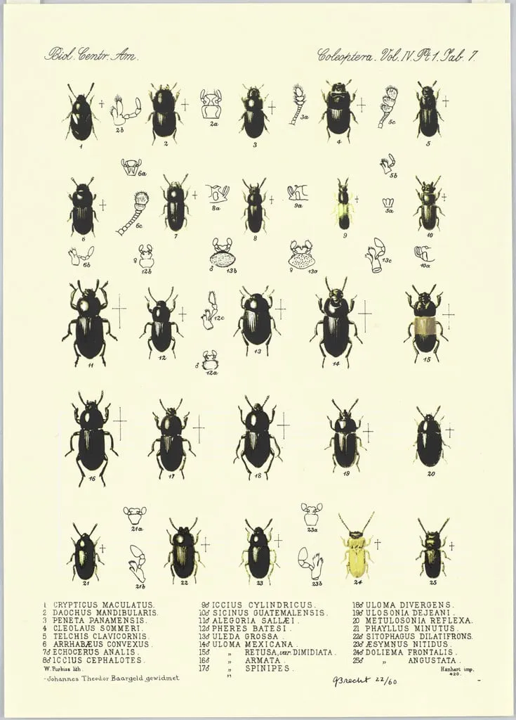 Untitled, by George Brecht, ink, 1981