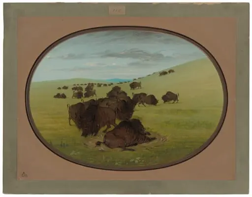 A Buffalo Wallow, by George Catlin