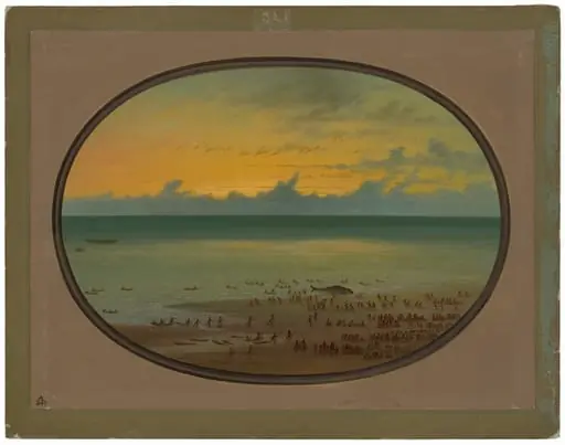A Whale Ashore - Klahoquat, by George Catlin