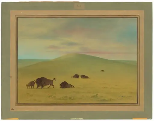 American Pasturage - Prairies of the Platte, by George Catlin