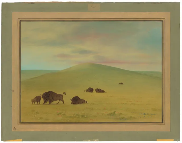 American Pasturage - Prairies of the Platte